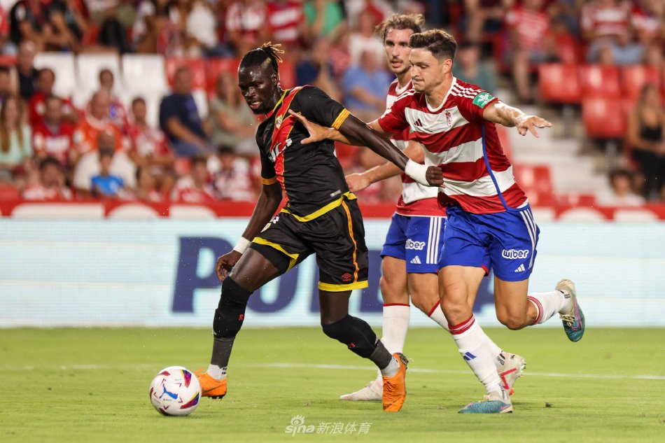 马的潜在影 马的潜在影